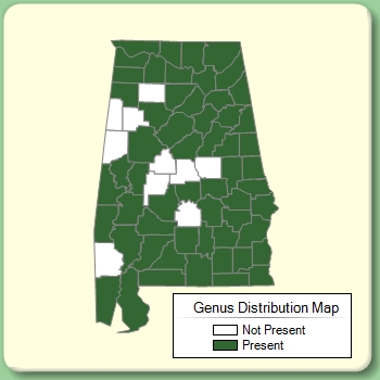 Genus Distribution Map