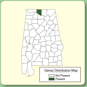 Genus Distribution Map