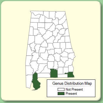 Genus Distribution Map