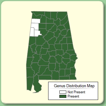 Genus Distribution Map