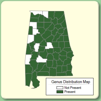 Genus Distribution Map