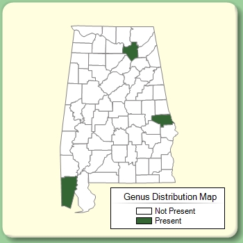 Genus Distribution Map