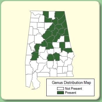 Genus Distribution Map