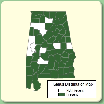 Genus Distribution Map