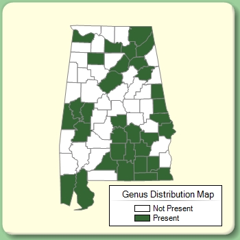 Genus Distribution Map