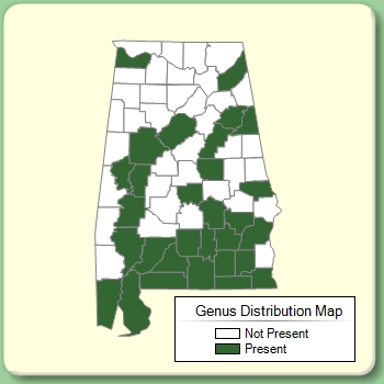 Genus Distribution Map