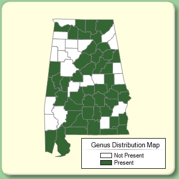 Genus Distribution Map