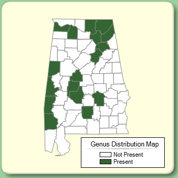 Genus Distribution Map