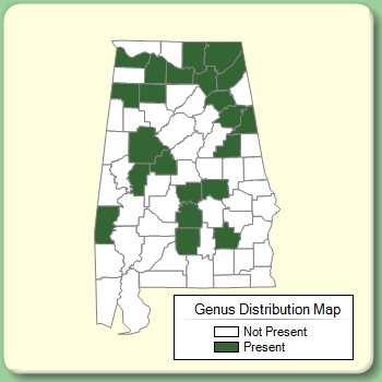 Genus Distribution Map