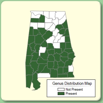 Genus Distribution Map