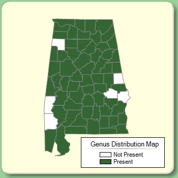 Genus Distribution Map