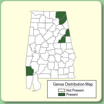 Genus Distribution Map