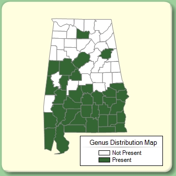 Genus Distribution Map