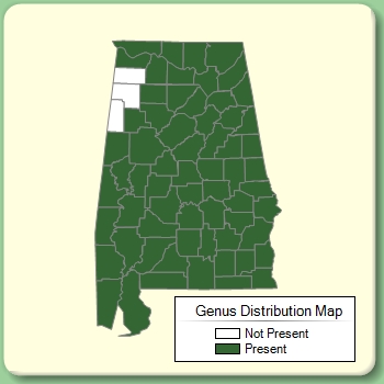 Genus Distribution Map