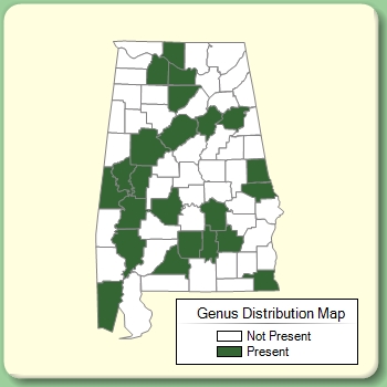 Genus Distribution Map