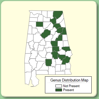 Genus Distribution Map