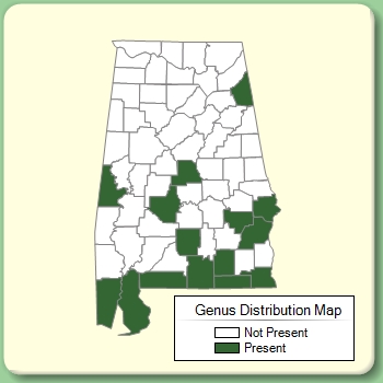 Genus Distribution Map