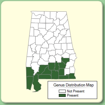 Genus Distribution Map