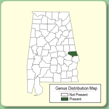 Genus Distribution Map