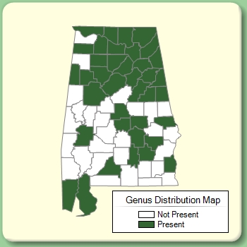 Genus Distribution Map