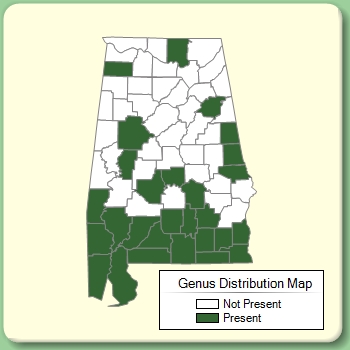 Genus Distribution Map