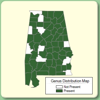 Genus Distribution Map