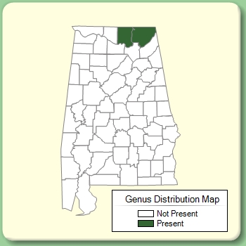 Genus Distribution Map