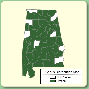 Genus Distribution Map