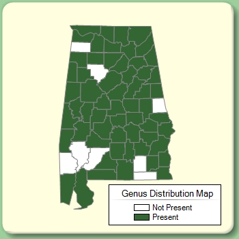 Genus Distribution Map