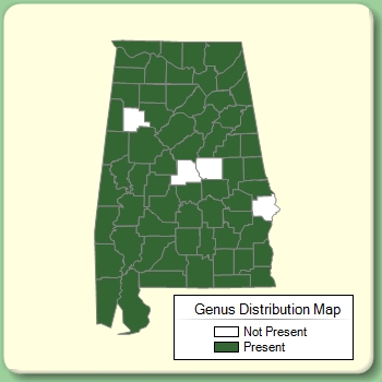 Genus Distribution Map