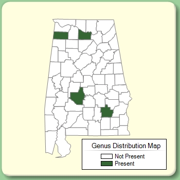 Genus Distribution Map