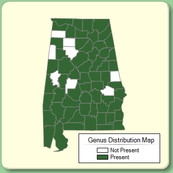 Genus Distribution Map