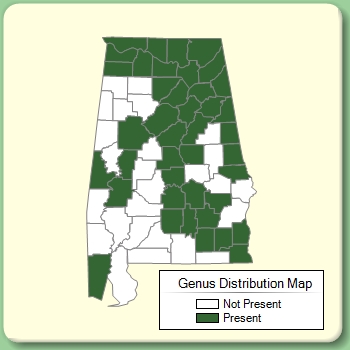 Genus Distribution Map