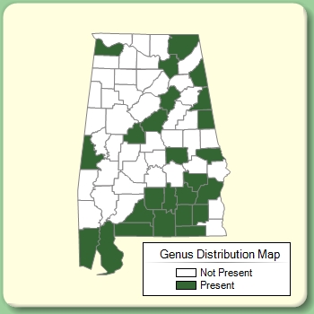 Genus Distribution Map