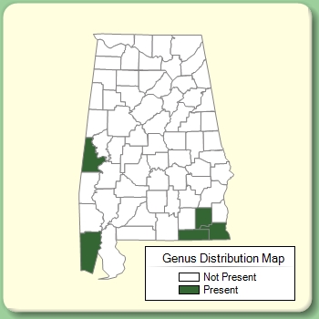 Genus Distribution Map