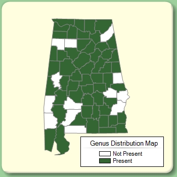 Genus Distribution Map