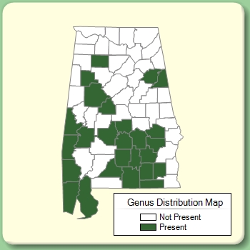 Genus Distribution Map