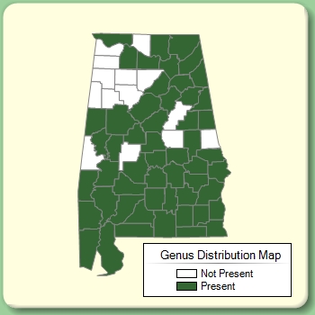 Genus Distribution Map