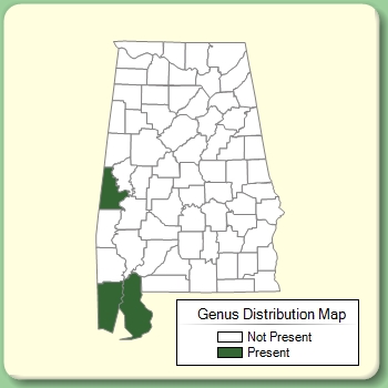 Genus Distribution Map