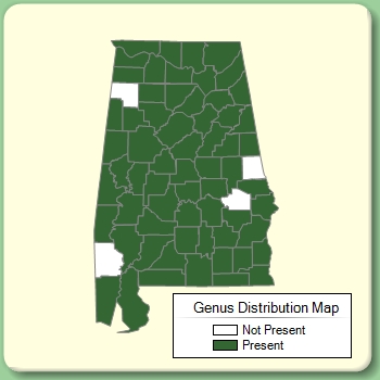 Genus Distribution Map