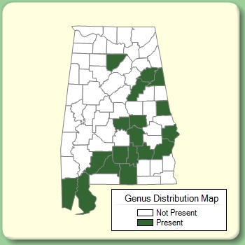 Genus Distribution Map