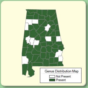 Genus Distribution Map