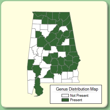 Genus Distribution Map