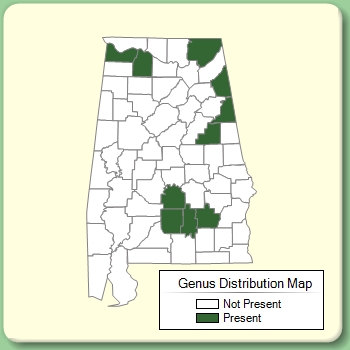 Genus Distribution Map