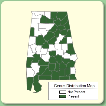 Genus Distribution Map