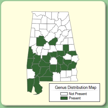 Genus Distribution Map