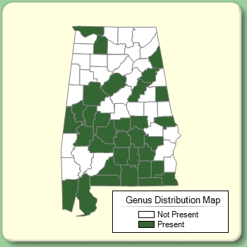 Genus Distribution Map