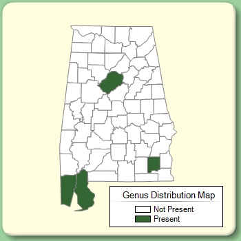 Genus Distribution Map