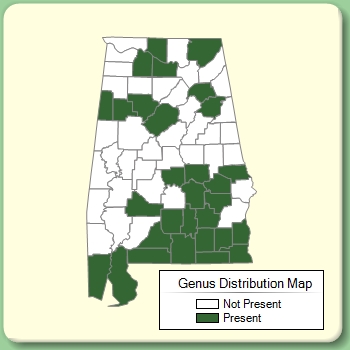 Genus Distribution Map