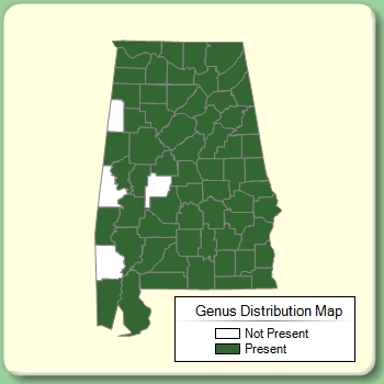 Genus Distribution Map